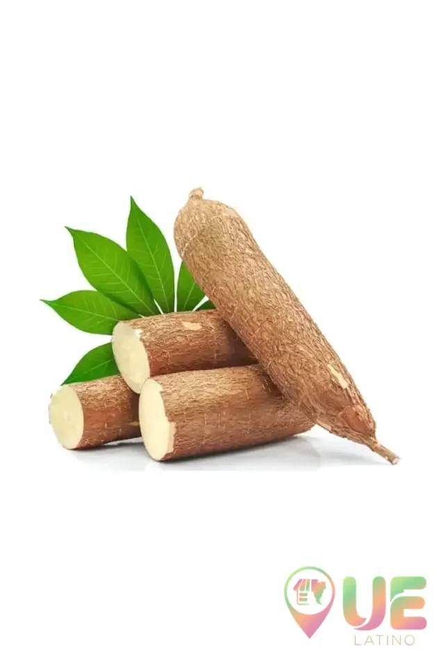 Yuca / Manioc