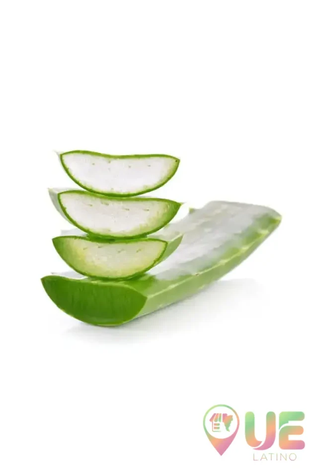 Foglie Di Aloe Vera Sabila