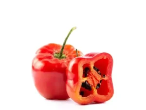 Rocoto