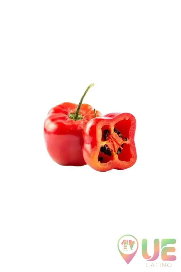 Rocoto
